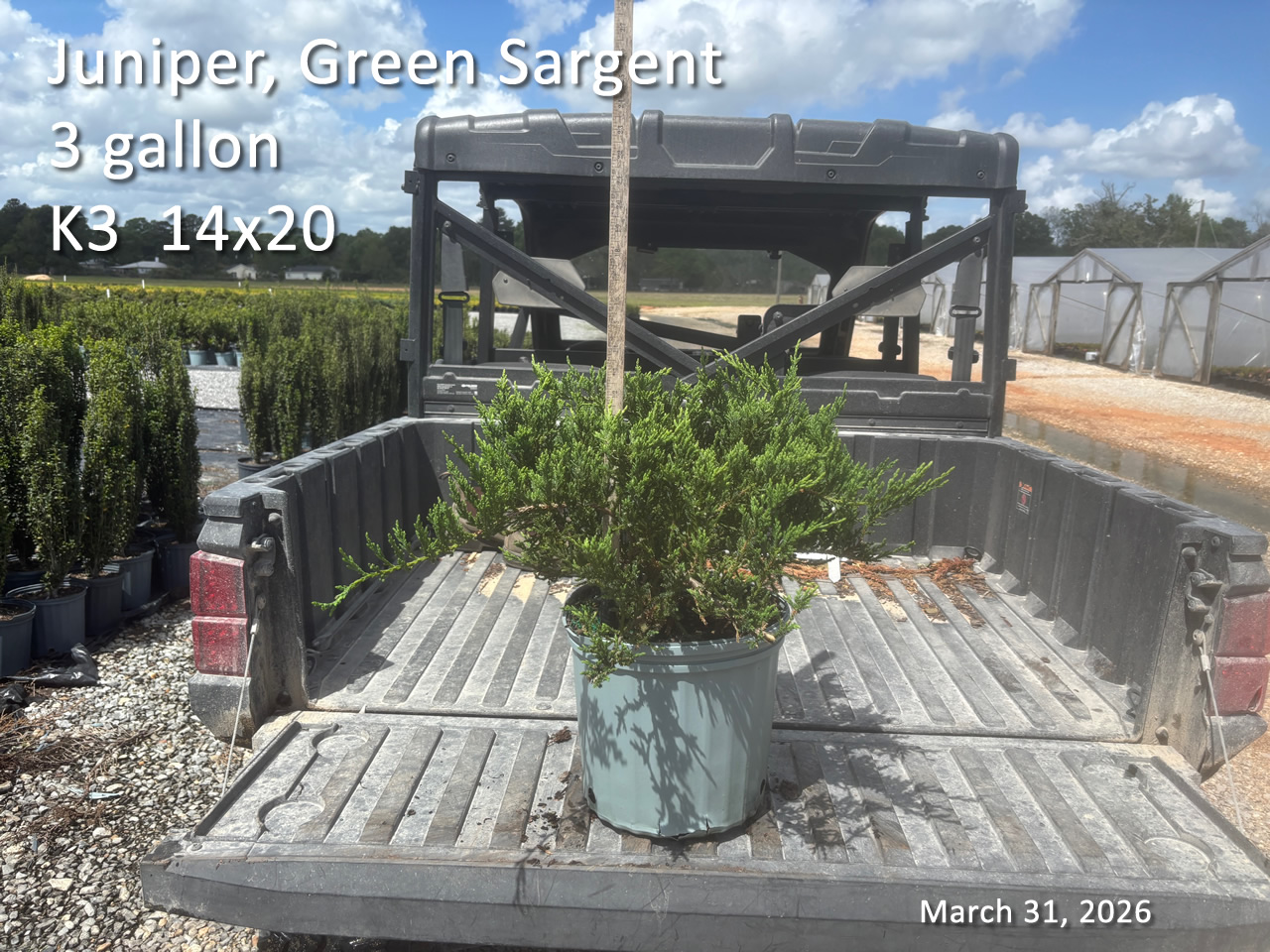 gallery/jgs3 k3 mar31.jpg